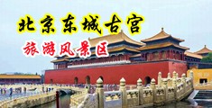 人体操逼视频网址中国北京-东城古宫旅游风景区